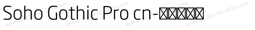 Soho Gothic Pro cn字体转换